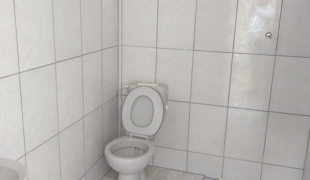 IMG_20221214_164024408