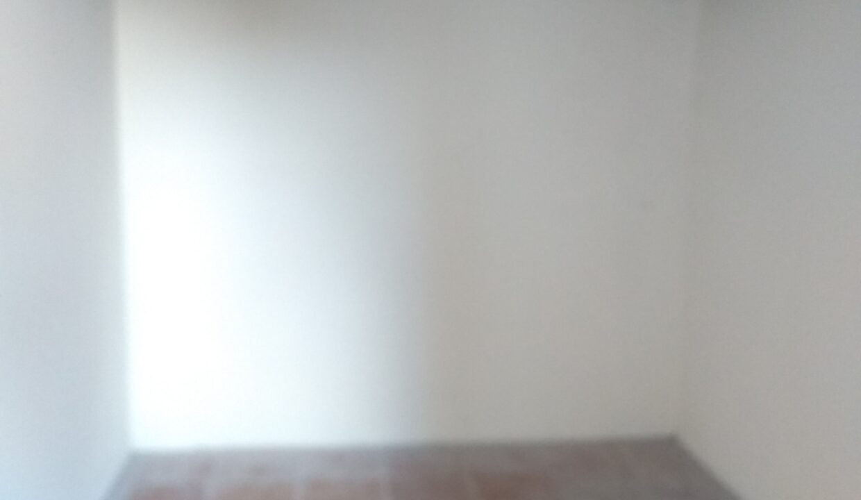 IMG_20221214_164043732