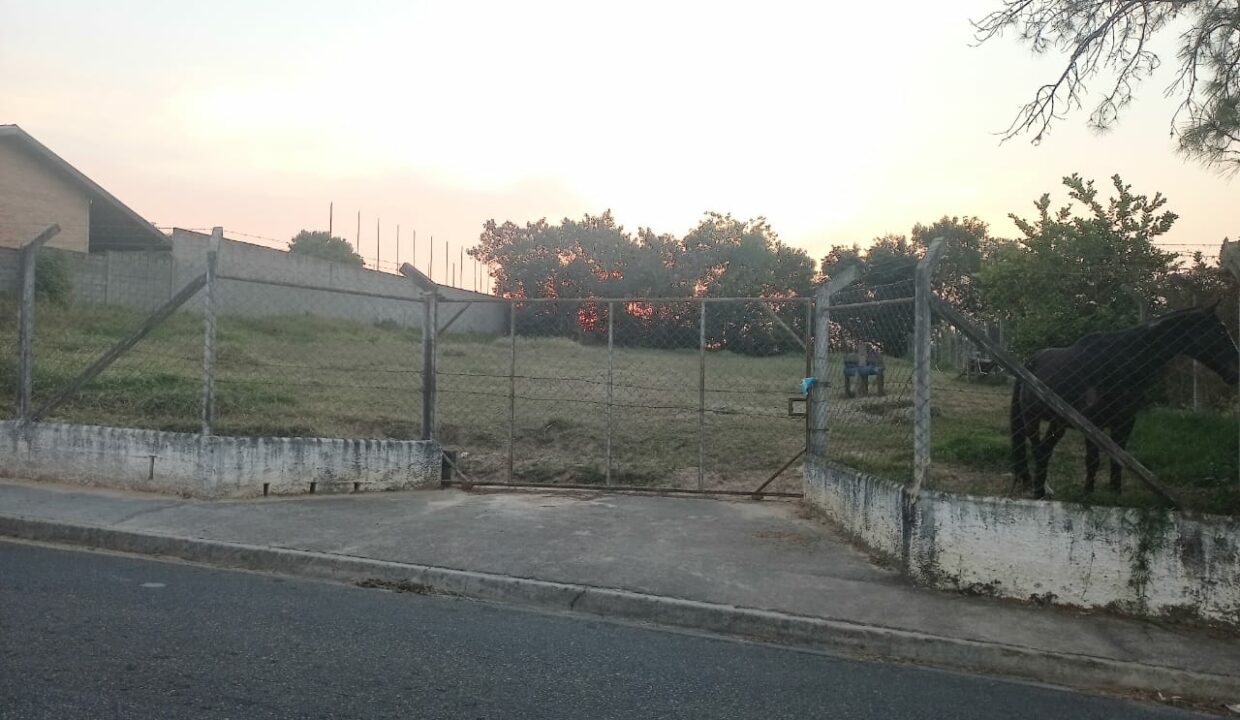 WhatsApp Image 2025-07-25 at 14.54.32