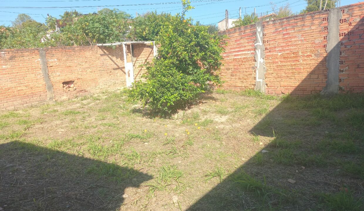 WhatsApp Image 2026-08-18 at 15.36.54